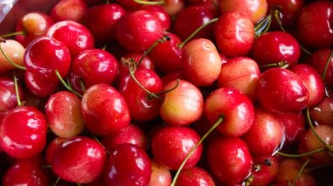 Cherry background Stock Photos