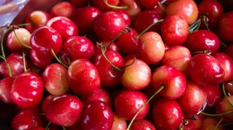 Cherry background Stock Photos