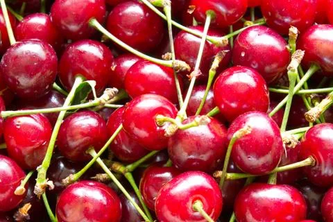 Cherry background Stock Photos