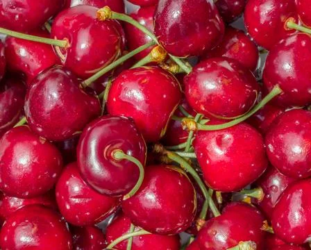 Cherry background Stock Photos