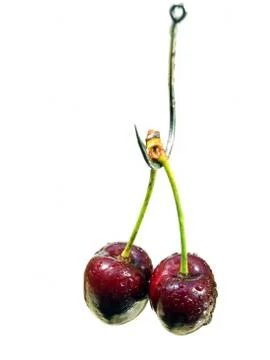 Cherry bait Stock Photos
