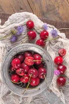 Cherry basket. Cherry tree branch. fresh ripe cherries. Sweet cherries in gar Stock Photos