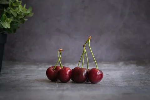 Cherry berries on a gray background 스톡 사진