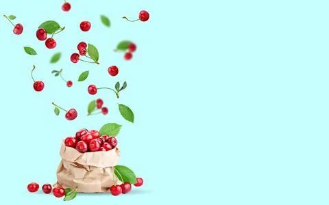 Cherry berries levitating on a blue background. Background with copy space Stock Photos