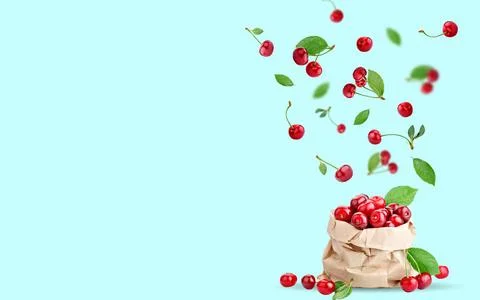 Cherry berries levitating on a blue background. Background with copy space Stock Photos