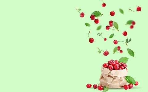 Cherry berries levitating on a green background. Background with copy space Stock Photos