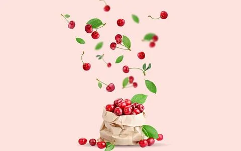 Cherry berries levitating on a pink background. Background with copy space. S Foto stock