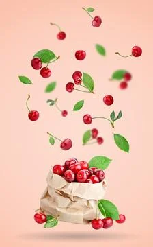 Cherry berries levitating on a pink background. Background with copy space. S Stock Photos