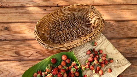Cherry berries pour into a wicker basket, slow motion Stock Footage 110325497