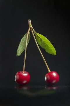 Cherry berries on the stem Stock Photos