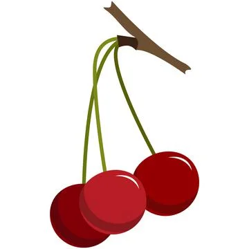 Cherry berries tree branch flat vector isolated on white Stock Illustration
