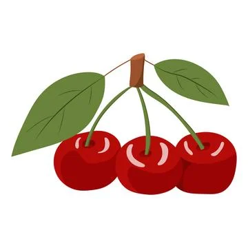 Cherry berries on a twig. vector illustration on a white background Stock Illustration