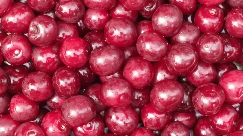 Cherry berry background, slow rotation. Fresh spinning berries, top view Video stock 302156825