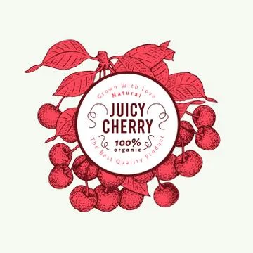 Cherry berry design template. Hand drawn vector fruit illustration. Engraved Stock Illustration