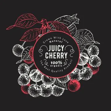 Cherry berry design template. Hand drawn vector fruit illustration on chalk Stock Illustration