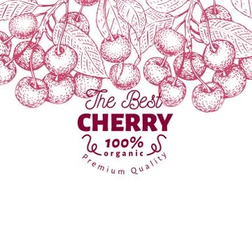 Cherry berry design template. Hand drawn vector fruit illustration. Engraved Stock Illustration