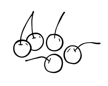 Cherry berry hand drawn doodle vector sketch. Outline illustration isolated.. Stock Illustration