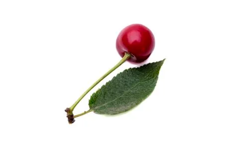 Cherry berry isolated on white background. Stock Photos
