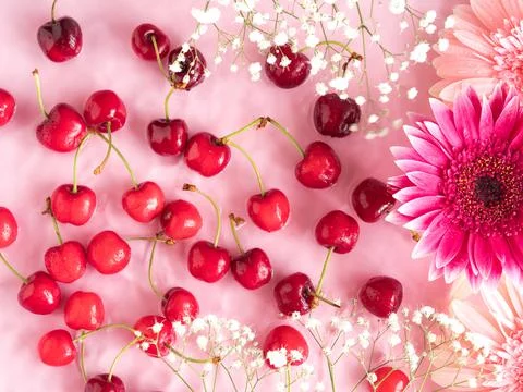 Cherry berry pattern with flowers and petals in water on pink background Stock Photos