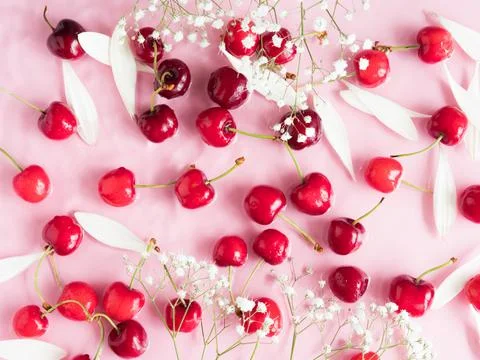 Cherry berry pattern with flowers and petals in water on pink background Stock Photos