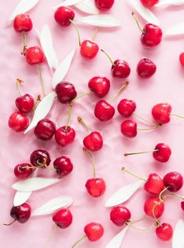 Cherry berry pattern with flowers and petals in water on pink background Stock Photos