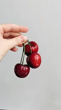 Cherry berry Stock Photos
