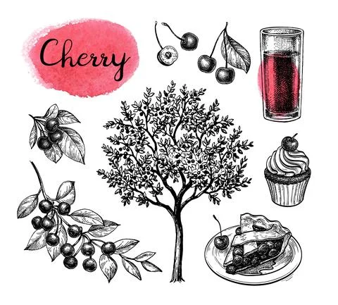 Cherry big set. Stock Illustration