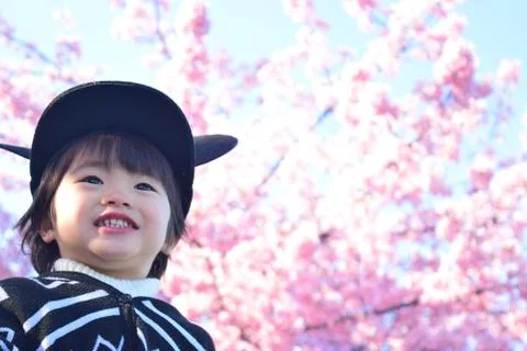 Cherry blossom and child Stock Photos