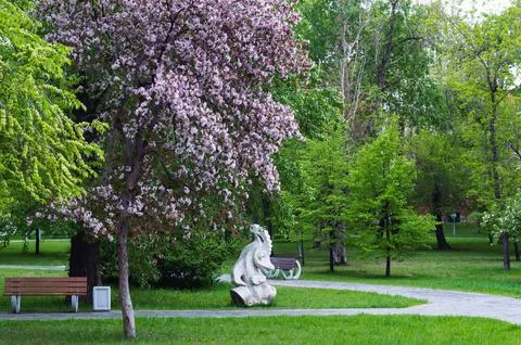 Cherry blossom and dragon sculpture in a green city park Stock-Fotos