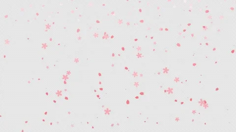 Cherry blossom animation (transparent background) Stock Footage 311031762