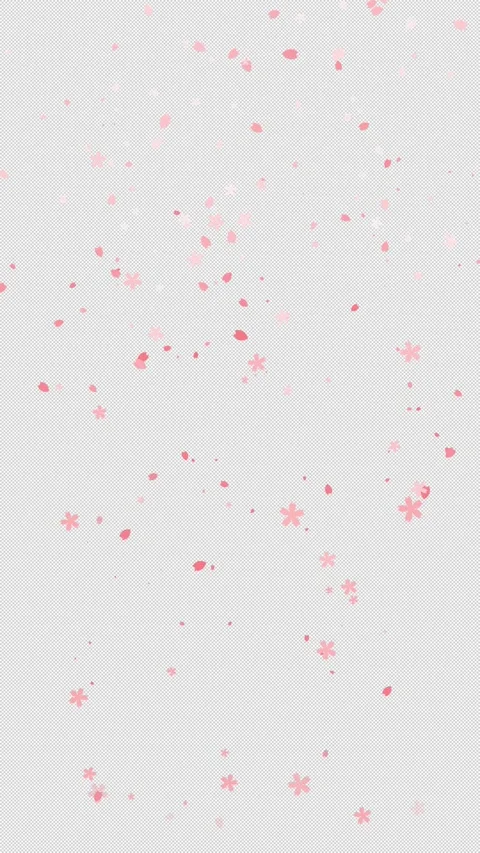 Cherry blossom animation (transparent background) Stock Footage 311031894