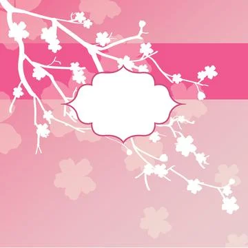 Cherry blossom background card with frame vector design Stock Illustration