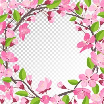 Cherry blossom background Stock Illustration