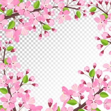 Cherry blossom background Stock Illustration