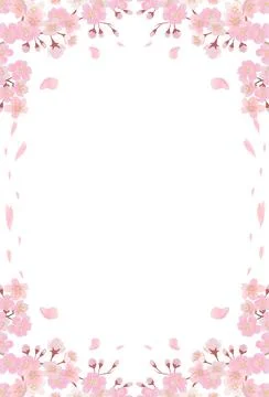 Cherry Blossom Border Frame with Falling Petals on White Background Illustrazione stock