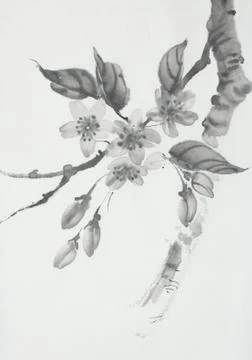 Cherry blossom branch Stock Illustration