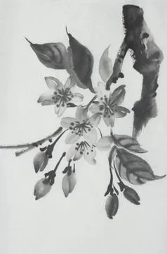 Cherry blossom branch Illustrazione stock