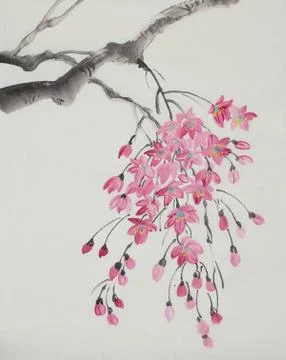 Cherry blossom branch Stock Illustration