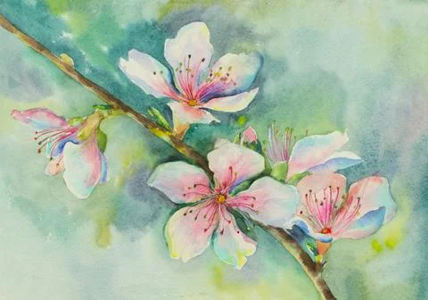 Cherry blossom branch Stock Illustration