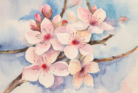 Cherry blossom branch Stock Illustration