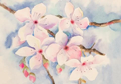 Cherry blossom branch Stock Illustration