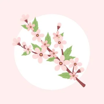 Cherry blossom branch. Spring vector illustration in a circular shape, card Stock-Illustration