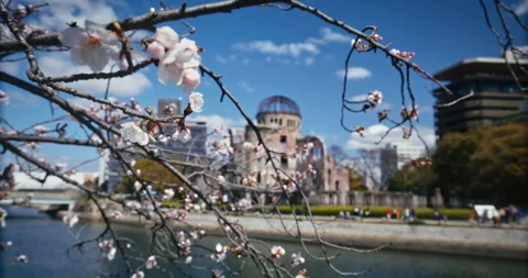 Cherry Blossom Branches Frame Hiroshima Peace Memorial Dome Stock Footage 344331235