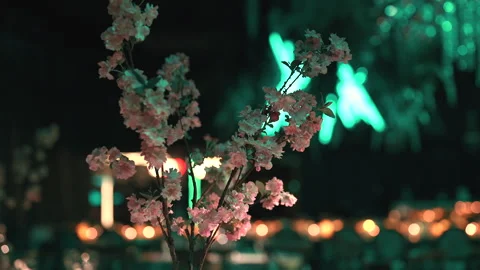 Cherry Blossom Branches in Soft Green Ambient Light at Evening Gathering Stock Footage 334169354