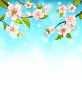 Cherry Blossom, Branches of Tree, Natural Glowing Background Stock Illustration