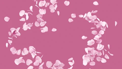 Cherry Blossom Burst on Background. Stock Footage 245470767