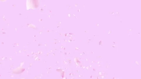 Cherry Blossom Burst on Background Stock Footage 259269480