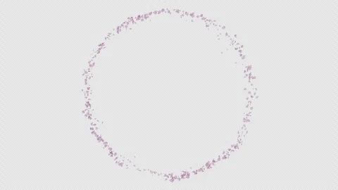 Cherry Blossom Circle Trail Loop Stock Footage 308148130