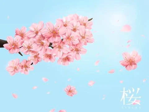 Cherry blossom elements Illustrazione stock