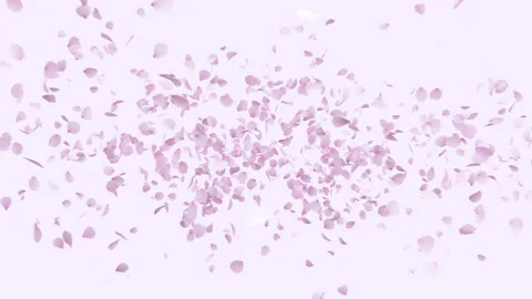 Cherry Blossom Explosion Pastel Background Stock Footage 329267342